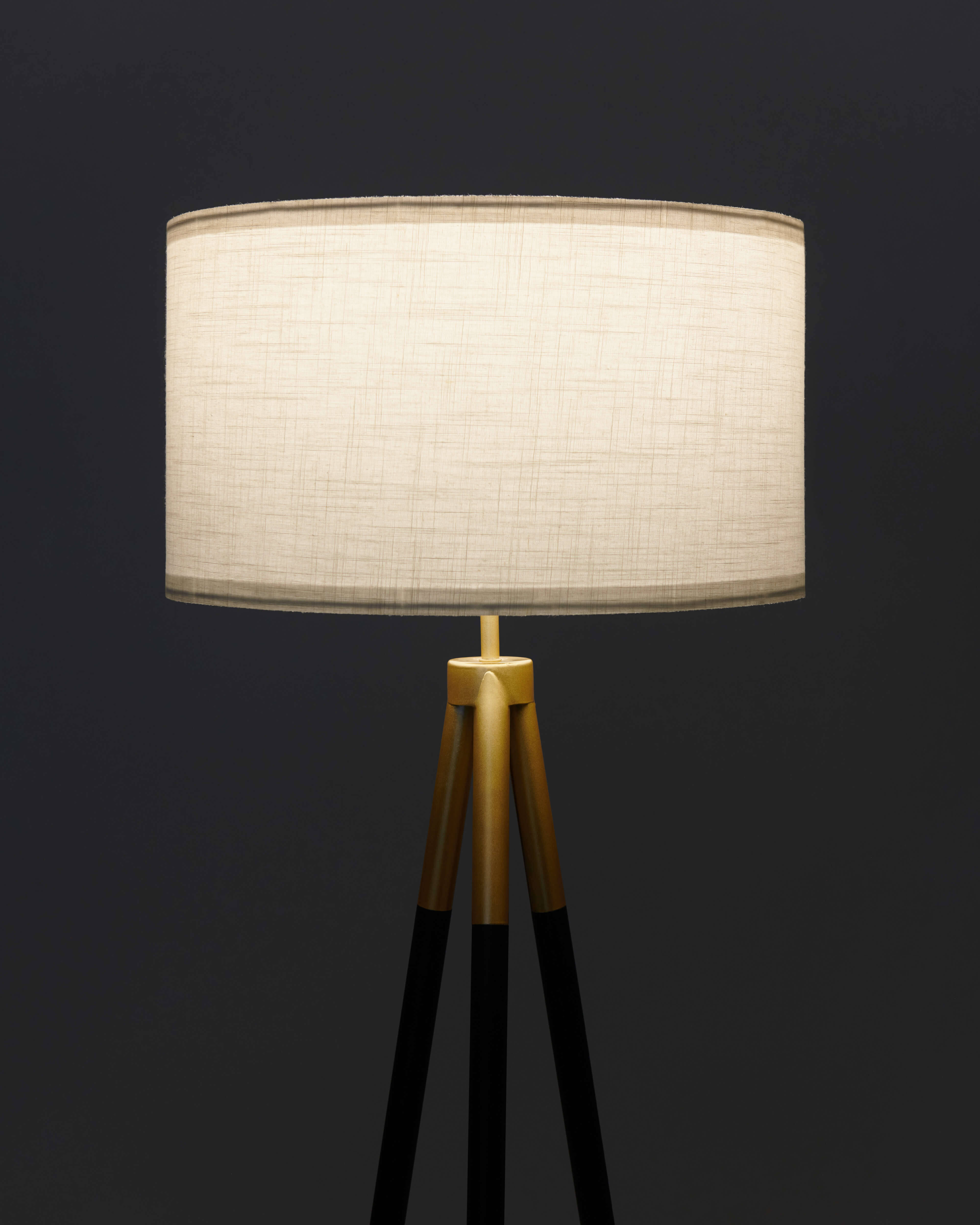 Levi Floor Lamp Brightech