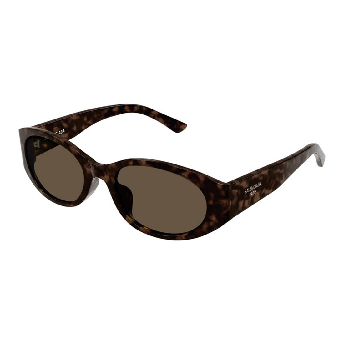 Gallery Detail: Acetate Havana Sunglasses
