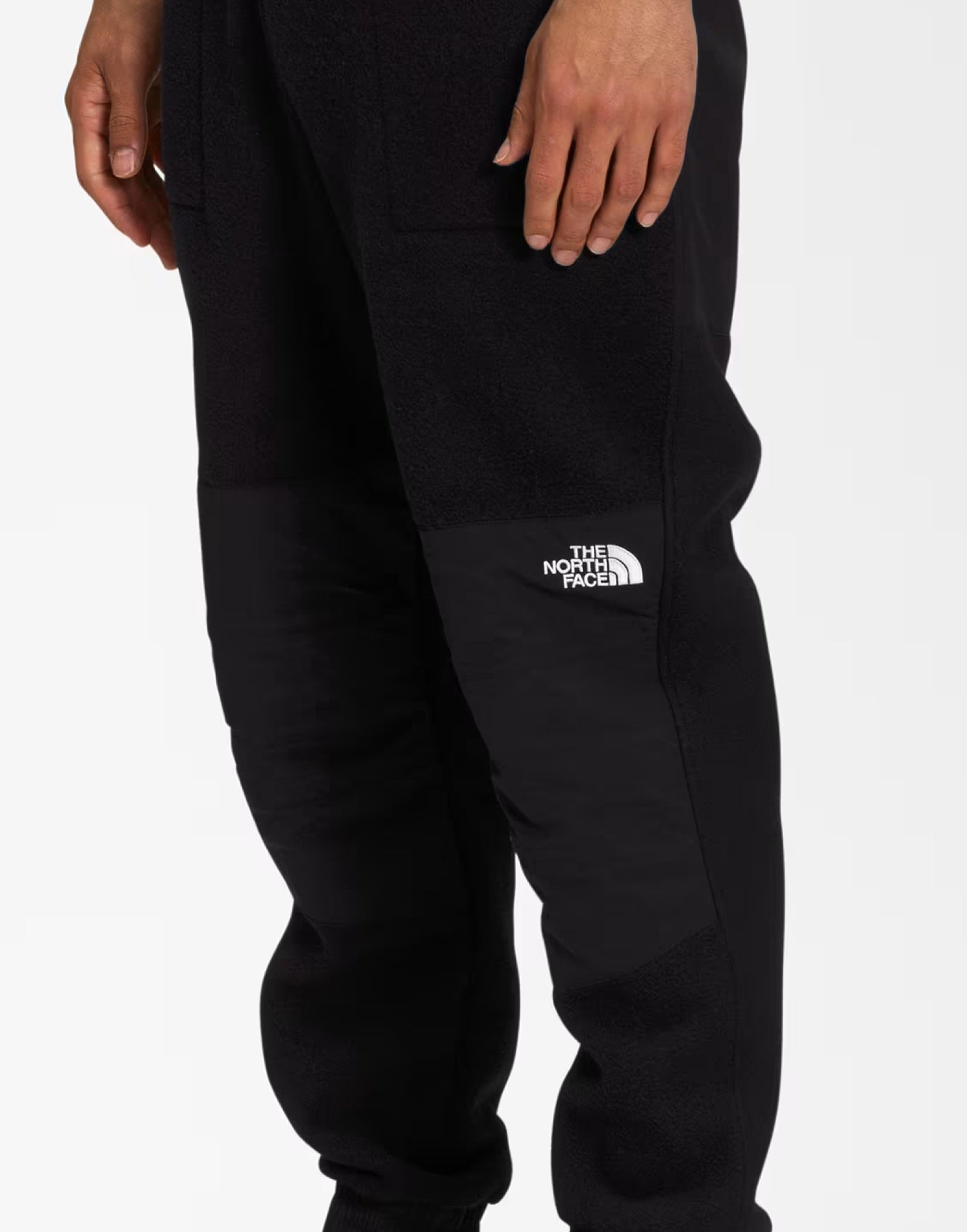 DENALI PANTS The North Face