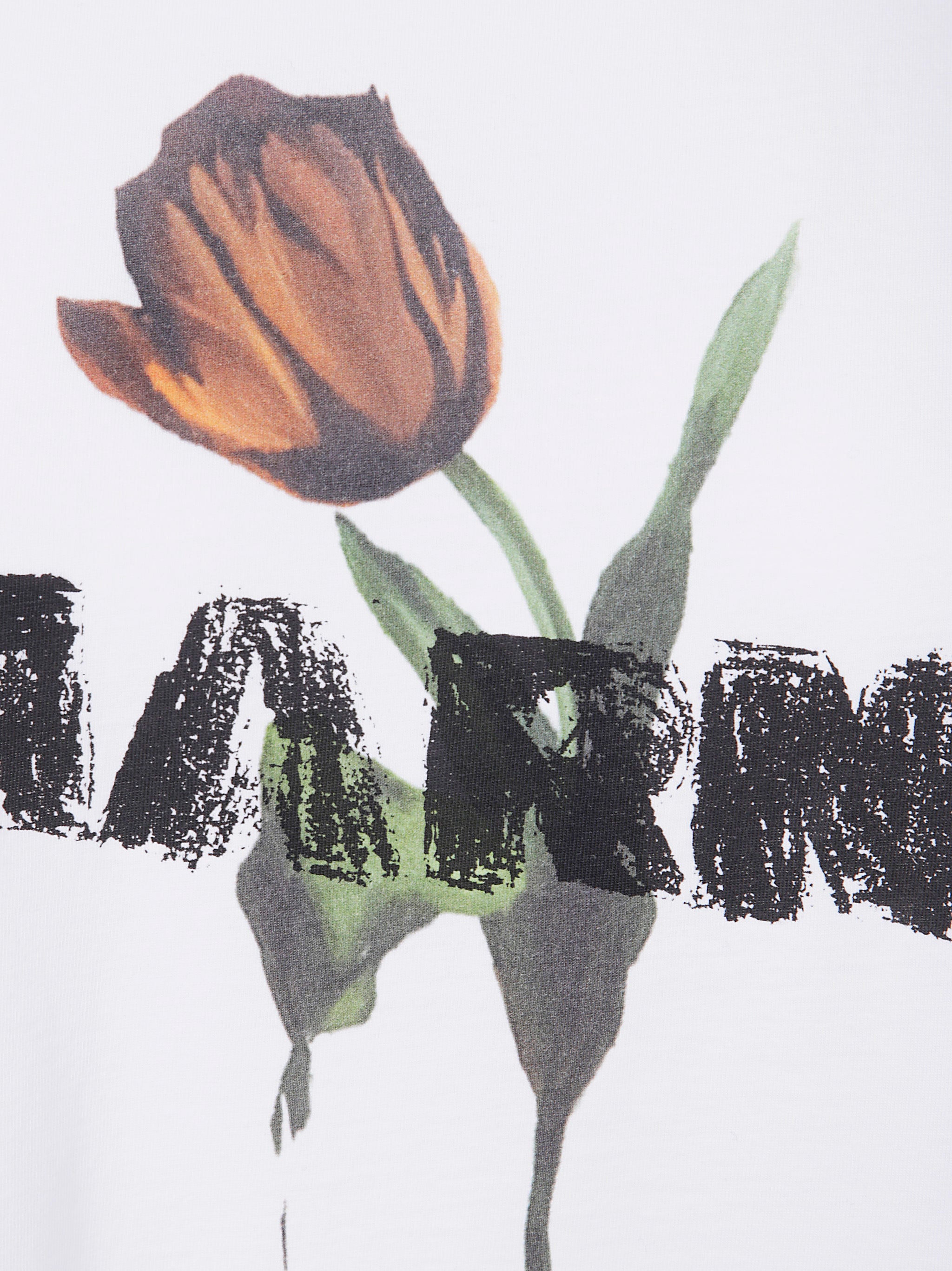 WHITE COTTON KNIT T-SHIRTS Marni