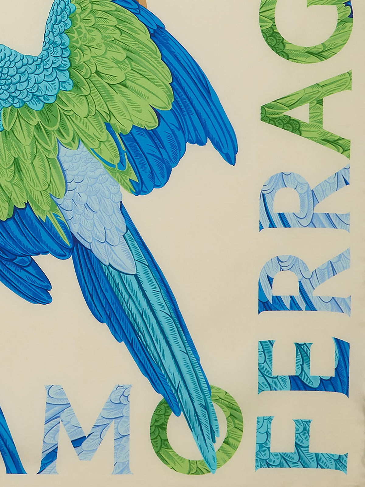 Salvatore Ferragamo parrot print scarf detail showing wordmark border