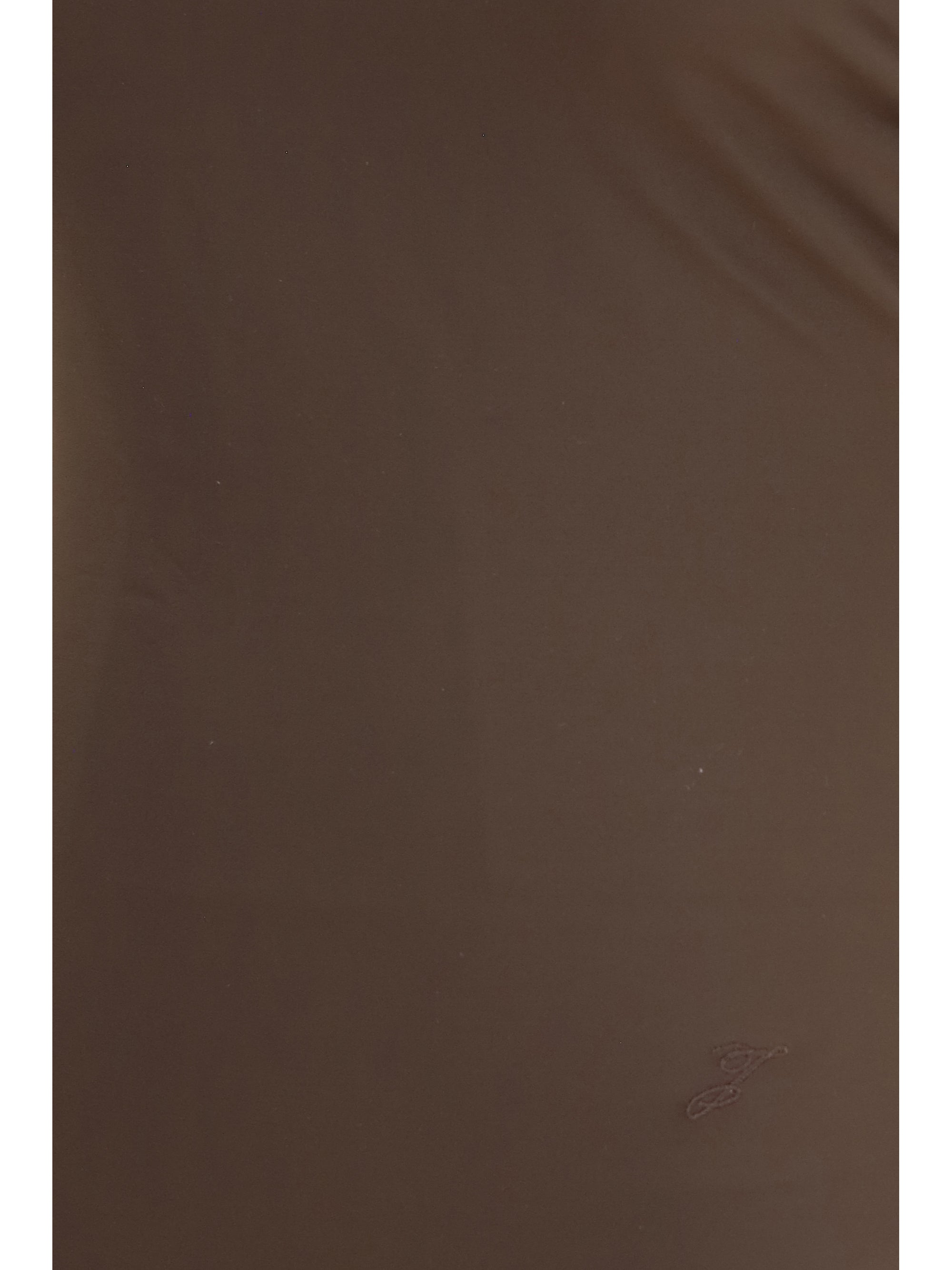 Brown Jacquemus Cabana one-piece swimsuit, back view showing ruffle detail