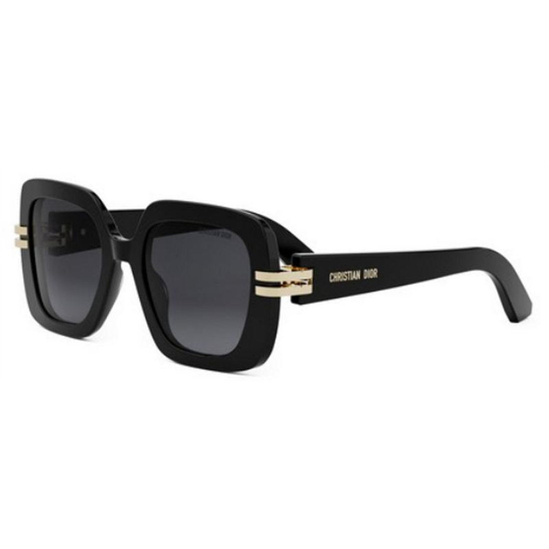 Dior CDIOR S2I CD40154I 01B (10A1) Dior Black 52