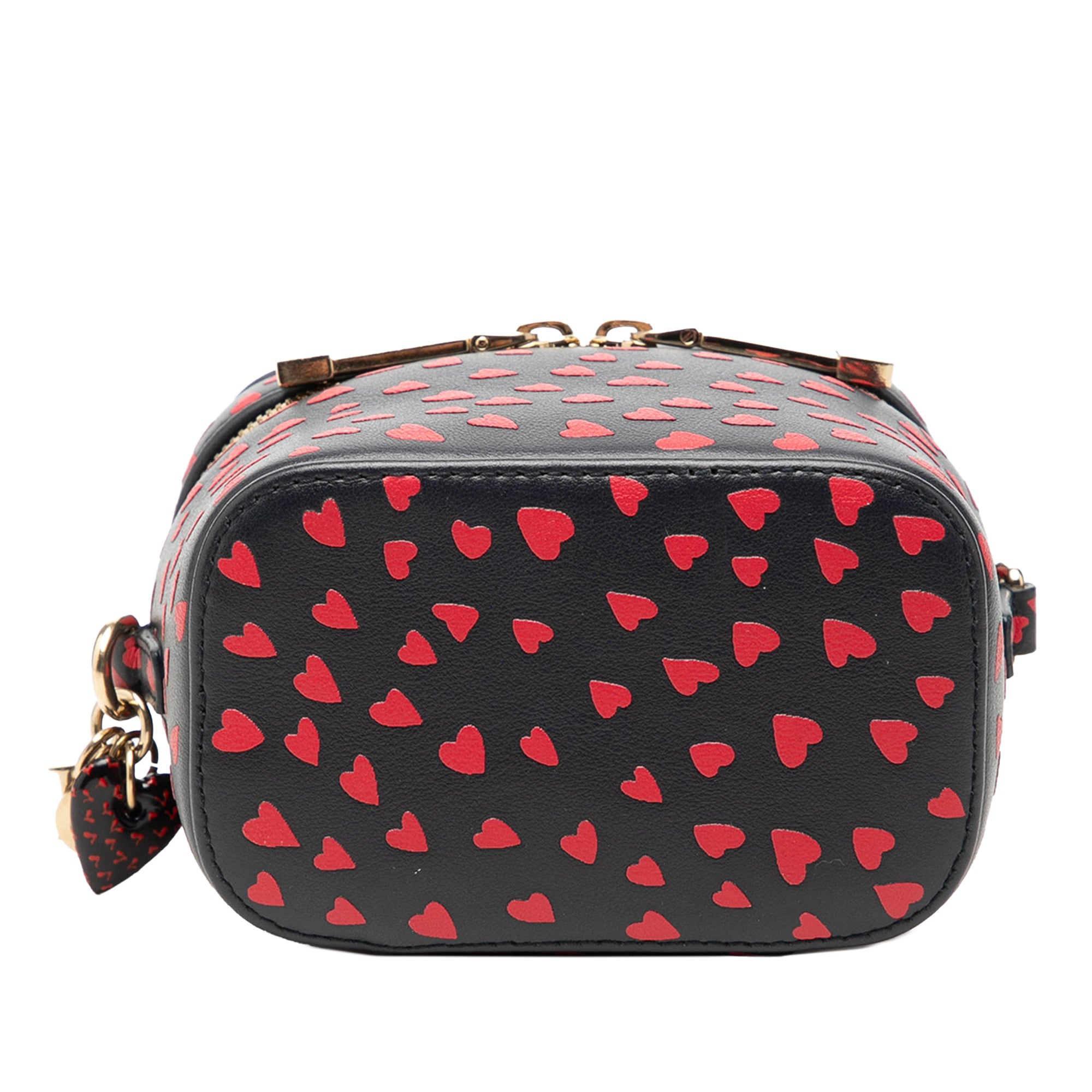Dior Micro Lambskin Heart Print Lady Dior Vanity Case – Lord & Taylor