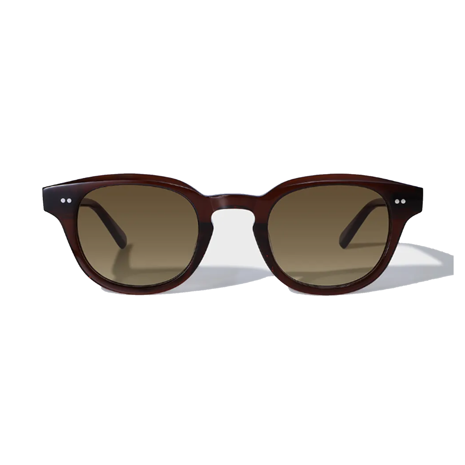 Jamie Acetate Frame Sunglasses Sunglasses Cossino